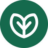 Aviary Tokens Info